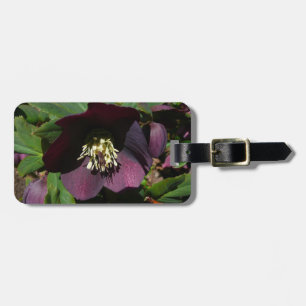 Lila Lenten Rose Ostern Blume Gepäckanhänger