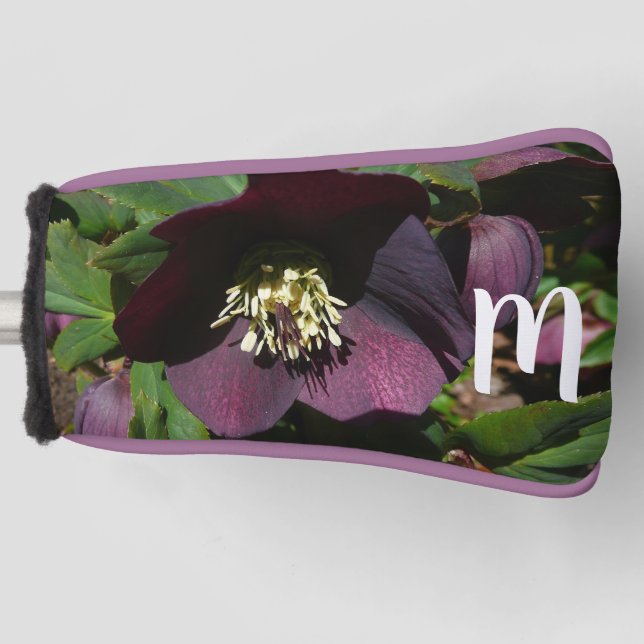 Lila Lenten Rose Ostern Blume Golf Headcover (Vorderseite)