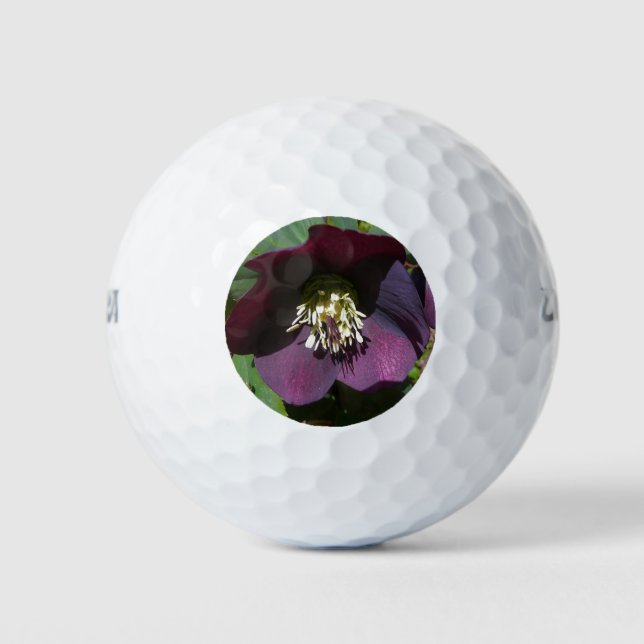 Lila Lenten Rose Ostern Blume Golfball (Vorderseite)