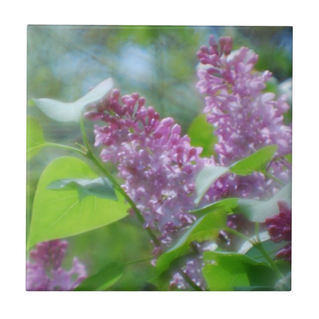 Lila lila Blumen-Fliese Fliese (Vorderseite)