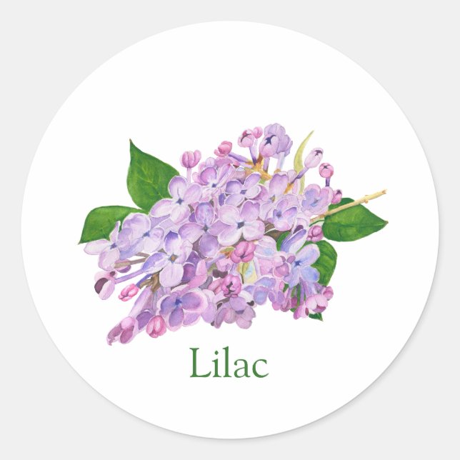 Lila lila botanische Aquarellfarbe Runder Aufkleber (Vorderseite)