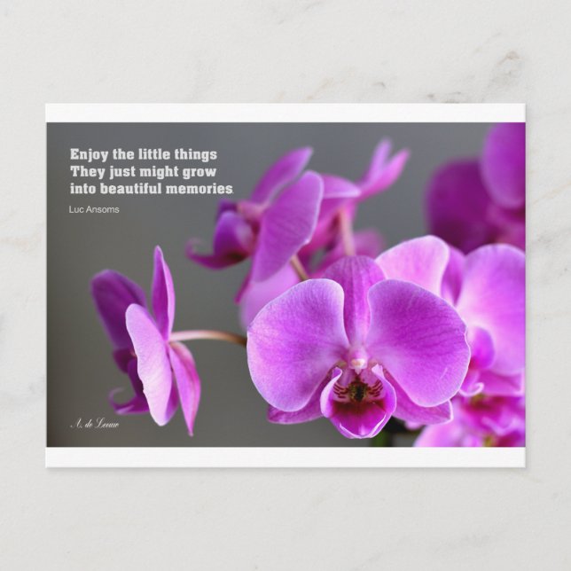 Lila lila-lila-Orchidee, inspirierendes Zitat Postkarte (Vorderseite)