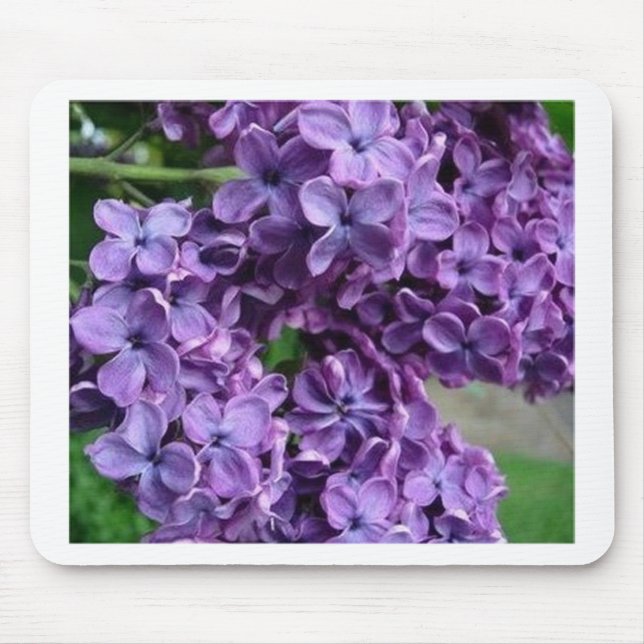 lila lila mousepad (Vorne)