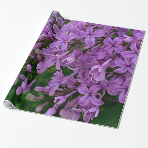 Lila Lila romantisches lila Foto Geschenkpapier