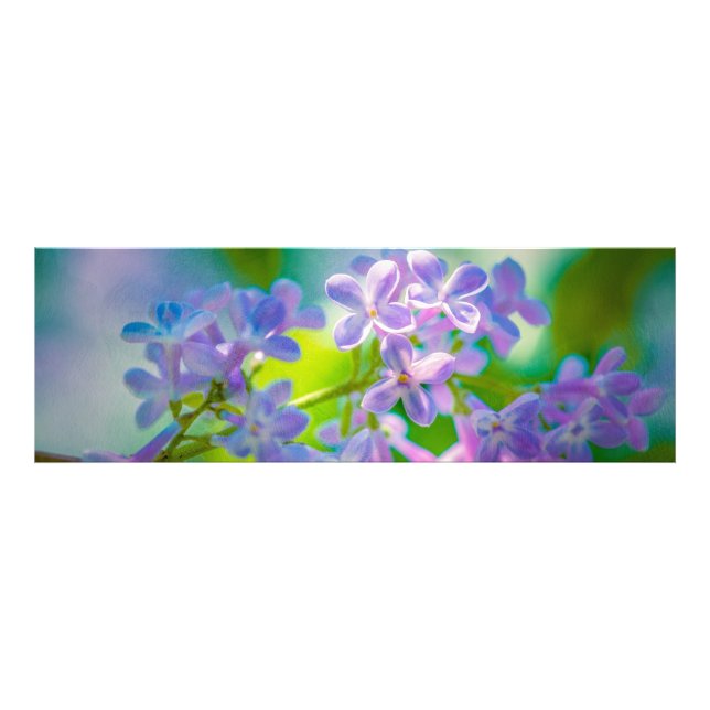 Lila Lilac-Blume Fotodruck (Vorne)