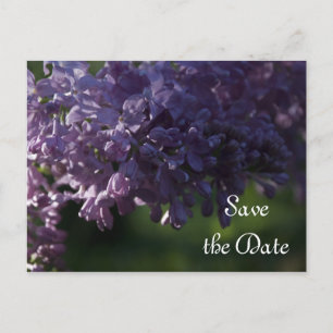 Lila Lilac-Blume Hochzeitssache Datum speichern Ankündigungspostkarte