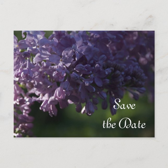 Lila Lilac-Blume Hochzeitssache Datum speichern Ankündigungspostkarte (Vorderseite)