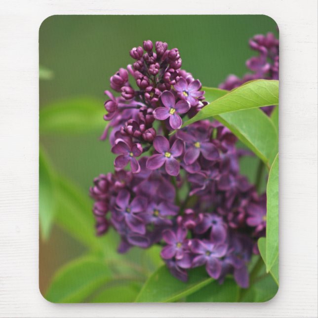 Lila Lilac Mousepad (Vorne)