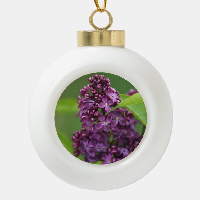 Lila Lilac Ornament (Vorderseite)