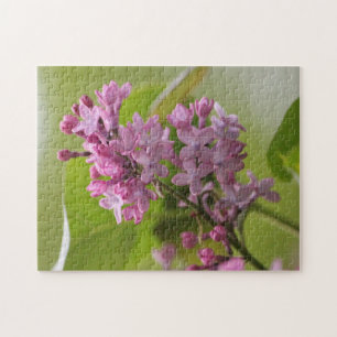 Lila Lilac Puzzle