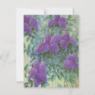 Lila Lilac von Cargill, 1937 Postkarte