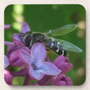 Lila Lilacs mit schwarzen und weißen Bienen Untersetzer