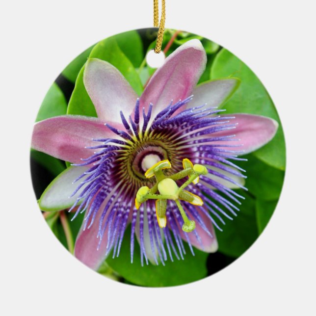 Lila Lilikoi Leidenschafts-Blume, Keramik Ornament (Vorne)