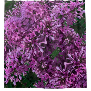 Lila Lillacke, rosa romantisches rosa Foto Duschvorhang