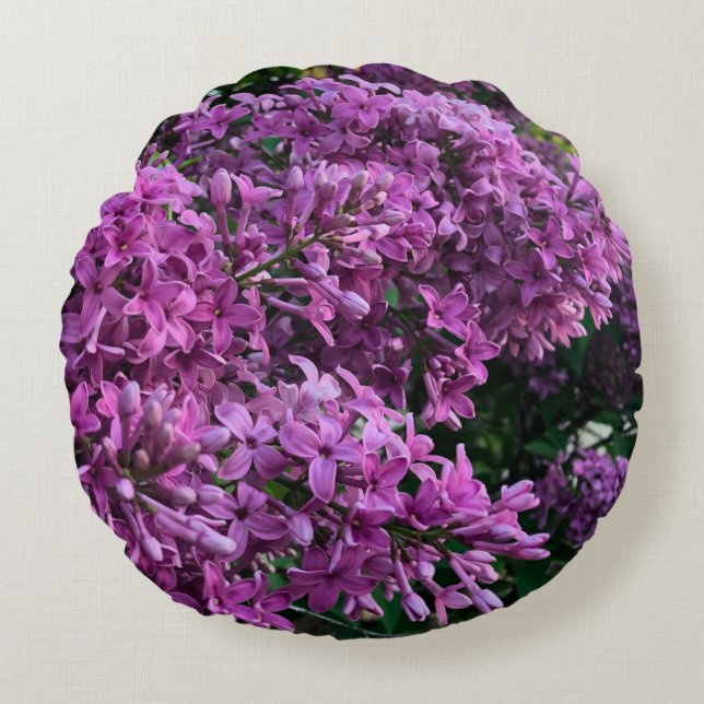 Lila Lillacke, rosa | romantisches rosa Foto Rundes Kissen (Vorderseite)