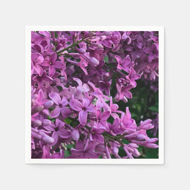 Lila Lillacke, rosa | romantisches rosa Foto Serviette (Vorderseite)