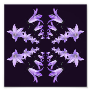 Lila Lily Blume Spiegelung Abstrakt Art 8x8 Fotodruck