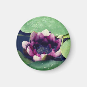 Lila Lotus Blume Foto MagnetPurple Lotus Magnet