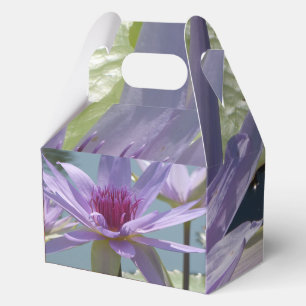 Lila Lotus-Blume Nah Up-Gesichtsfeld Geschenkschachtel