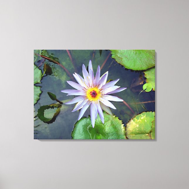 Lila Lotus Canvas Print Leinwanddruck (Vorderseite)
