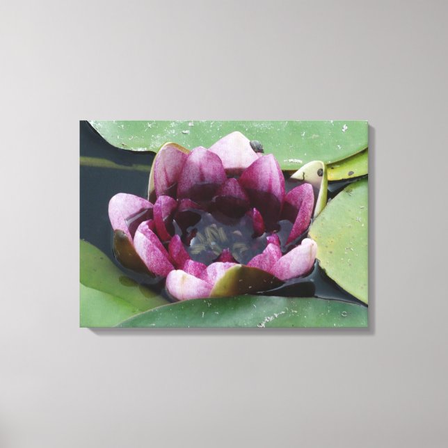 Lila Lotus Fotografy Single Print Leinwanddruck (Vorderseite)