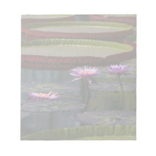 Lila Lotus-Wasserlilie-Blume Notizblock