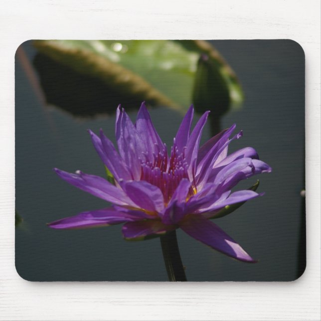 Lila Lotus Wasserlilie Mouse Pad Mousepad (Vorne)