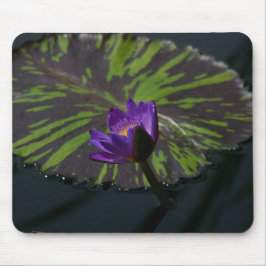 Lila Lotus Wasserlilie Mouse Pad Mousepad
