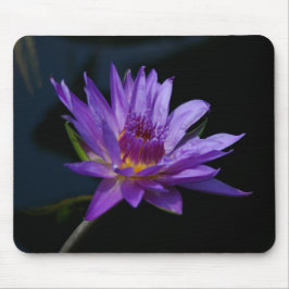 Lila Lotus Wasserlilie Mousepad