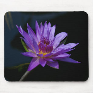 Lila Lotus Wasserlilie Mousepad