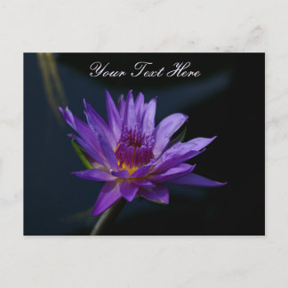 Lila Lotus-Wasserlilie Postkarte