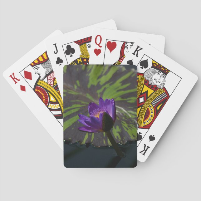 Lila Lotus Wasserlilie Spielkarten (Rückseite)