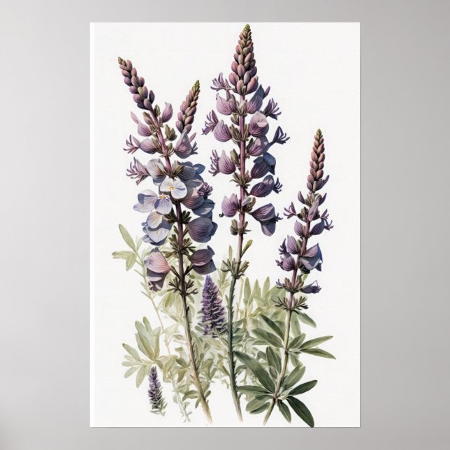 Lila Lupine Blume Art Print Poster (Vorne)