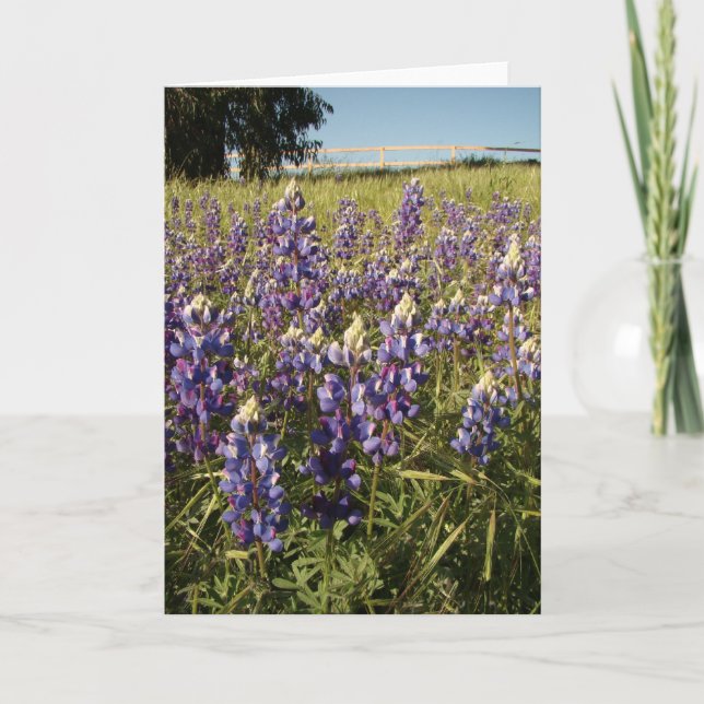 Lila Lupine-Blumen-Karte Karte (Vorderseite)