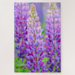 Lila Lupine-Blumen-Puzzlespiel