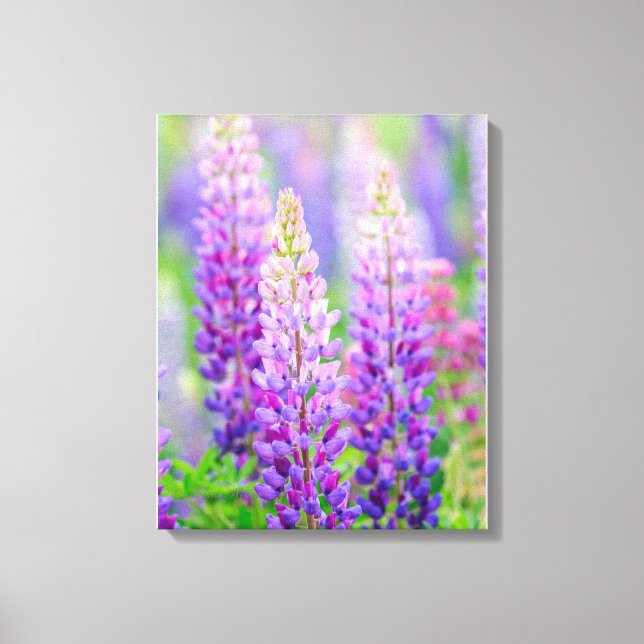 Lila Lupine eingewickelte Leinwand (Vorderseite)