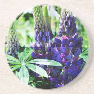 Lila Lupine Floral Untersetzer