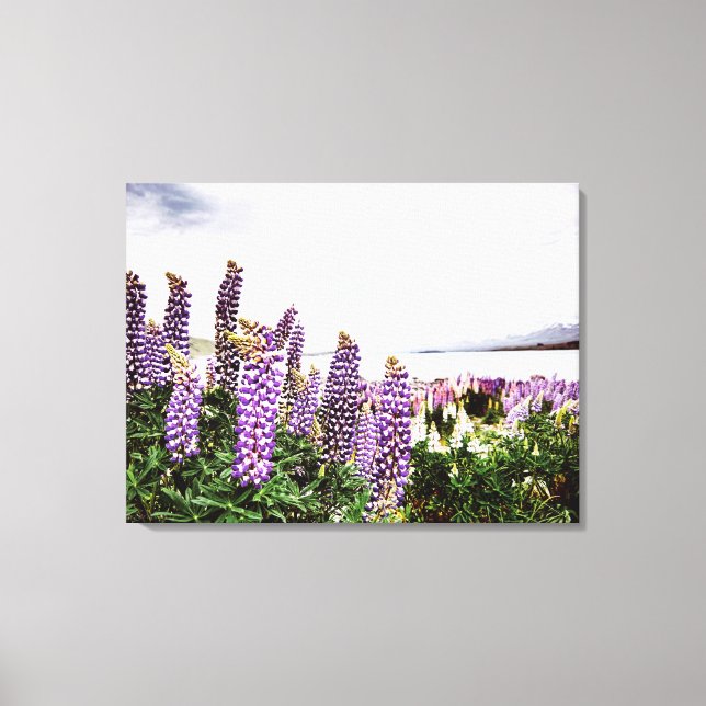 Lila Lupinen Blume: Neuseeland Leinwand (Vorderseite)