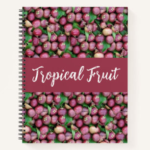 Lila Mangosteen Tropisches Obst Notizbuch