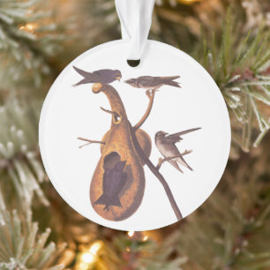 Lila Martin Audubon Bird Family und Gourd Zuhause Ornament