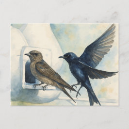 Lila Martin Landlord Nature Swallow Bird Gourds Postkarte