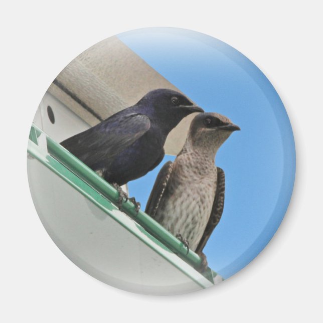 Lila Martin Mates Magnet (Vorne)