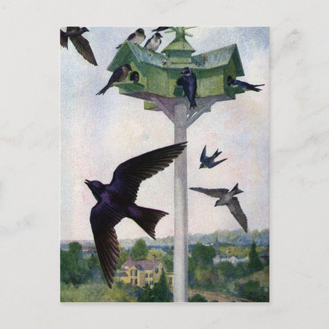 Lila Martins und ihr Geburtshaus Postkarte (Vorderseite)