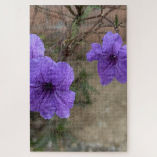 Lila Mexikanische Petunie Ruellia Simplex Blüten