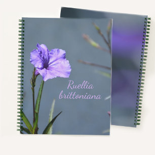 Lila mexikanisches Petunia Bloral individuell anpa Notizbuch