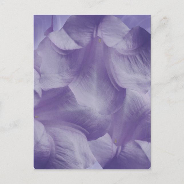Lila Moon Blume Petals Postkarte (Vorderseite)