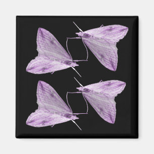 Lila Moth Art Magnet