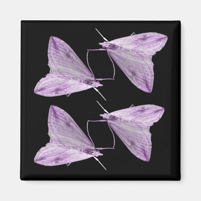 Lila Moth Art Magnet (Vorne)