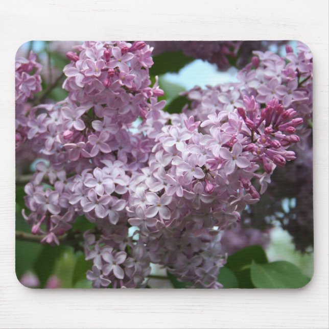 Lila Mousepad (Vorne)