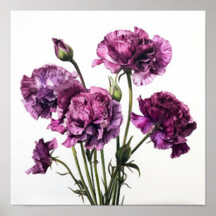 Lila Nelken Blumen Kunst Druck Poster